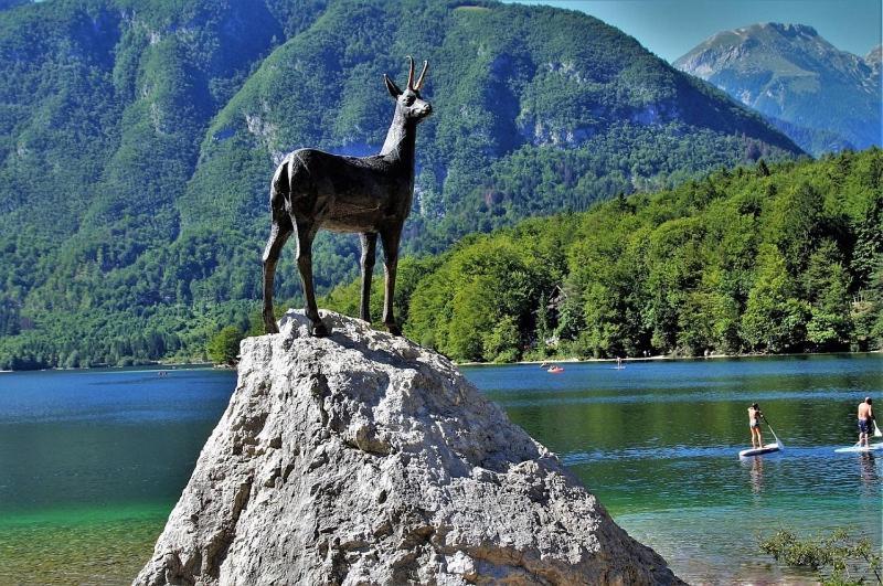 Apartment With A View Bohinjska Bistrica Exteriér fotografie